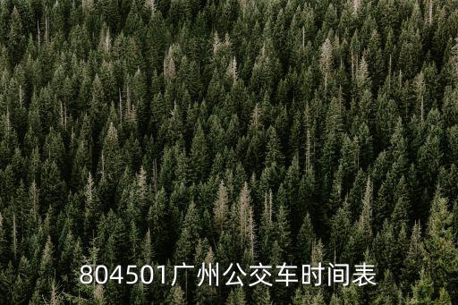 804501廣州公交車時間表