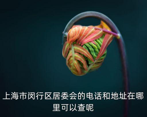 上海市閔行區七寶鎮社區電話，上海市閔行區居委會的電話和地址在哪里可以查呢