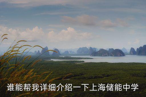 誰(shuí)能幫我詳細(xì)介紹一下上海儲(chǔ)能中學(xué)