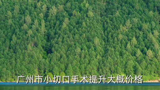 廣州小切口提拉，小切口面部提升哪里最好了