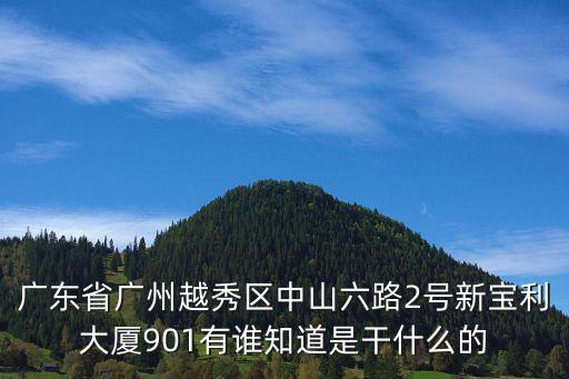 廣東省廣州越秀區中山六路2號新寶利大廈901有誰知道是干什么的