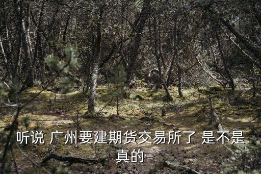 聽說 廣州要建期貨交易所了 是不是真的