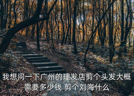 我想問一下廣州的理發店剪個頭發大概需要多少錢 剪個劉海什么