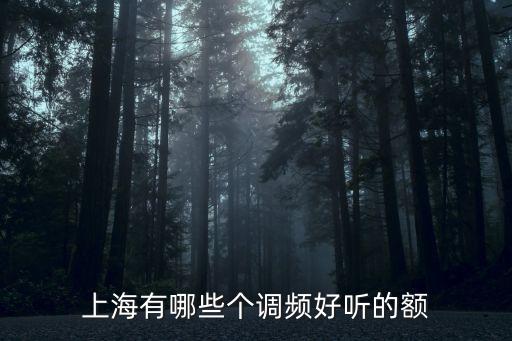 上海有哪些個調頻好聽的額