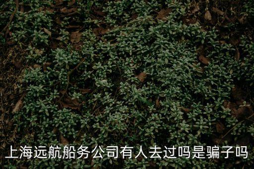 上海市遠(yuǎn)航公司，上海遠(yuǎn)航船務(wù)公司有人去過嗎是騙子嗎