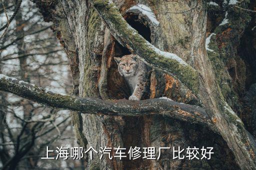 車載上海市，有誰知道上海所有的汽車配件城的詳細(xì)地址