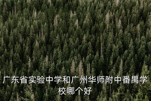 華師附中番禺學校在廣州排名如何，華師附中番禺分校怎樣