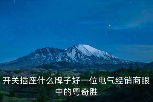 開關插座什么牌子好一位電氣經銷商眼中的粵奇勝