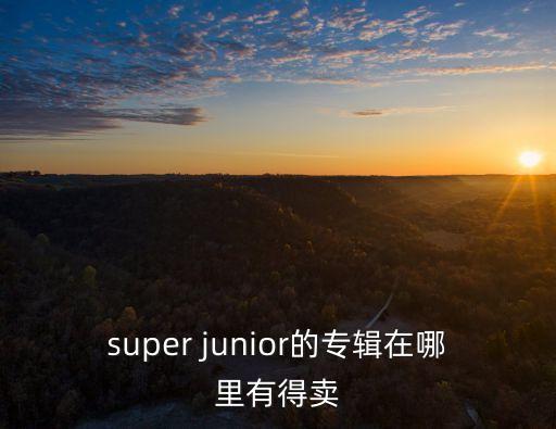 廣州動漫星城有沒有韓國專輯，在廣州動漫星城有賣taylor swift和lenka的專輯么正版的