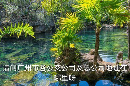 請問廣州市各公交公司及總公司地址在哪里呀