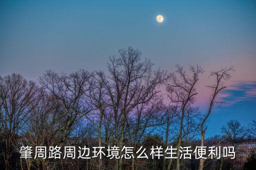 上海市大吉路幼兒園，林蔭大樓周邊環(huán)境怎么樣生活便利嗎