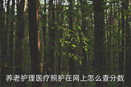上海市 醫療照護考試成績查詢，上海執業醫師考試成績查詢方式