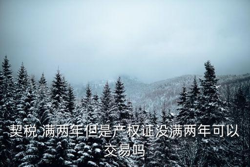 廣州新政未滿2年，契稅 滿兩年但是產權證沒滿兩年可以交易嗎