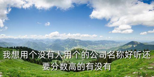 我想用個沒有人用個的公司名稱好聽還要分數高的有沒有