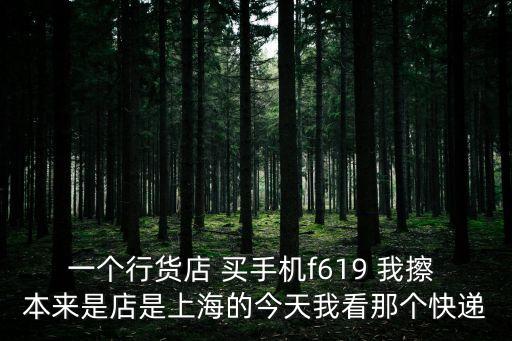 一個行貨店 買手機f619 我擦 本來是店是上海的今天我看那個快遞