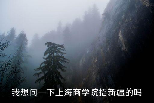 上海市商業大學招聘，我想問一下上海商學院招新疆的嗎