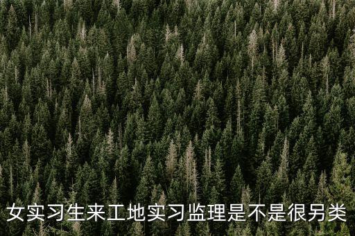 女實(shí)習(xí)生來工地實(shí)習(xí)監(jiān)理是不是很另類