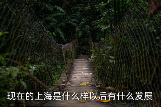大上海市人山人海，現在的上海是什么樣以后有什么發展