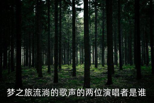 夢之旅流淌的歌聲的兩位演唱者是誰