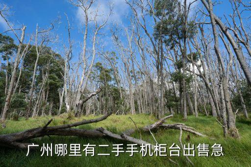 廣州哪里有二手手機(jī)柜臺(tái)出售急
