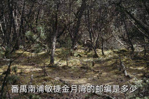 廣州敏捷金月灣上學，廣州哪個小區上學最方便