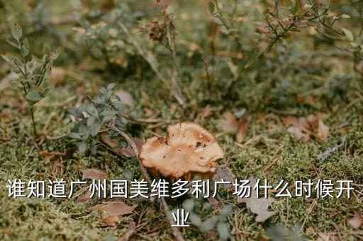 誰知道廣州國美維多利廣場什么時候開業