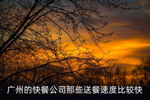 廣州快餐外賣龍頭行業(yè)，廣州珠三角地區(qū)那間餐飲外賣公司比較好啊