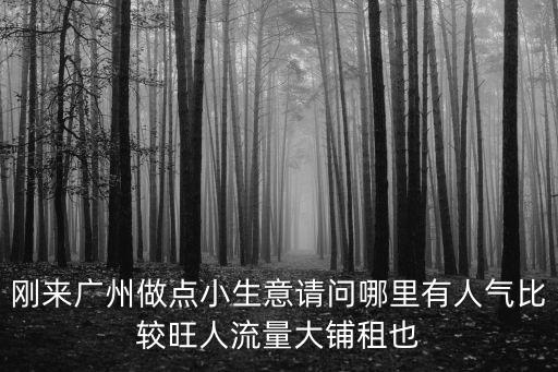 剛來廣州做點小生意請問哪里有人氣比較旺人流量大鋪租也