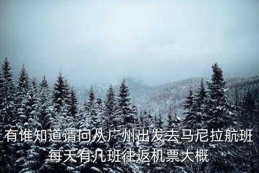 有誰知道請(qǐng)問從廣州出發(fā)去馬尼拉航班每天有幾班往返機(jī)票大概