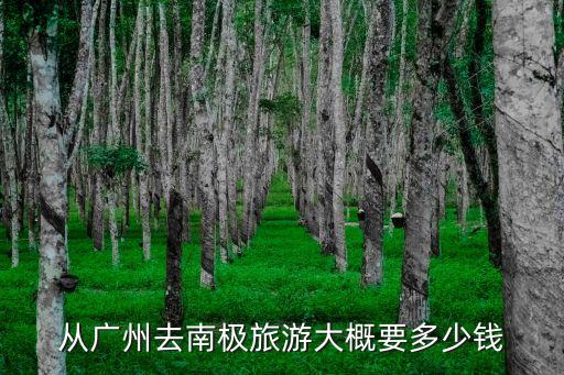 廣州到南極費用多少錢，從廣州去南極旅游大概要多少錢