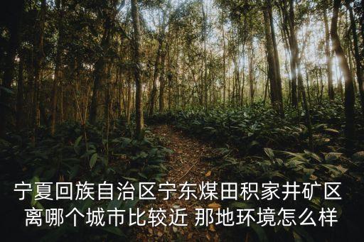 寧夏回族自治區寧東煤田積家井礦區 離哪個城市比較近 那地環境怎么樣