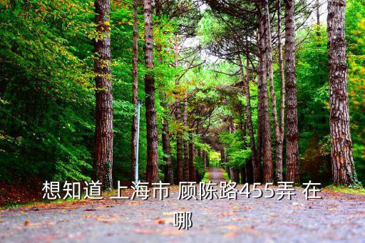 想知道 上海市 顧陳路455弄 在哪