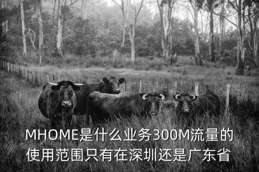 MHOME是什么業務300M流量的使用范圍只有在深圳還是廣東省