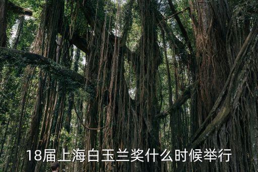 上海市第十八屆百萬，楊冪哪次得獎是吳奇隆頒的