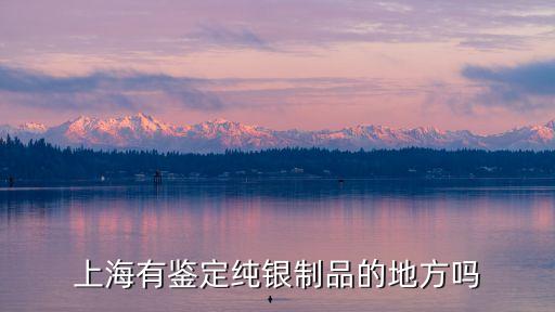 上海市哪里有純銀檢測機構，上海去哪里鑒定銀手鐲的真偽