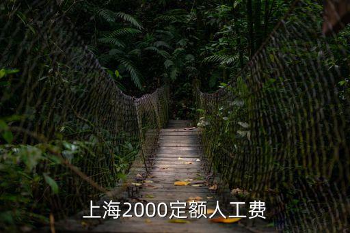 上海市建筑工人定額單價，親 早上好 我想請問您 2013 上海建筑工程水電安裝定額人工費是多少