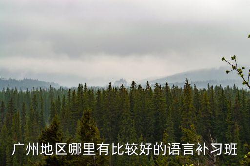 廣州地區(qū)哪里有比較好的語言補(bǔ)習(xí)班