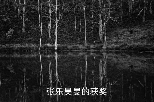 張樂昊旻的獲獎