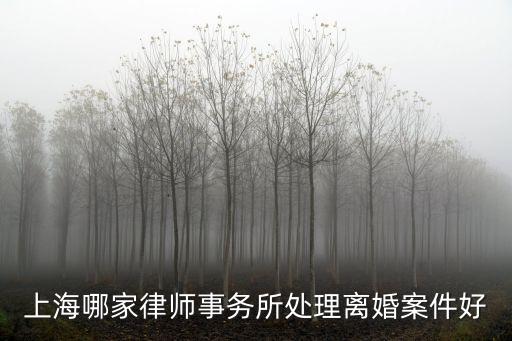 上海市辦理離婚糾紛律師哪里找，上海哪家律師事務所處理離婚案件比較好