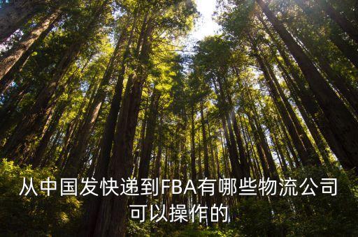 從中國發快遞到FBA有哪些物流公司可以操作的