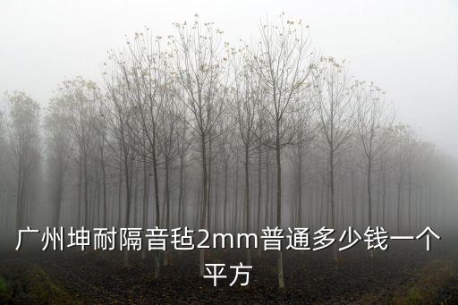 廣州坤耐隔音氈2mm普通多少錢一個平方