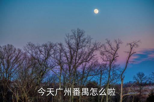 今天廣州番禺怎么啦