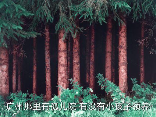廣州孤兒院領養中心，廣州那里有孤兒院 有沒有小孩子領養