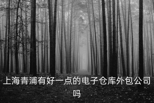 上海市智能立體庫外包，上海有哪家比較好的自動化倉儲物流外包服務公司