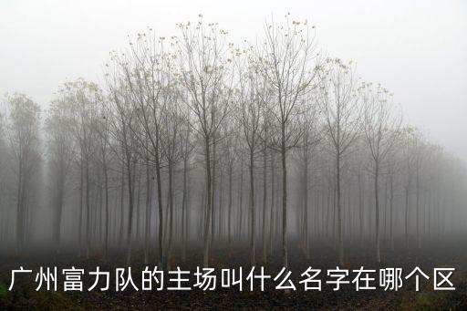 廣州富力隊的主場叫什么名字在哪個區