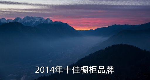 2014年十佳櫥柜品牌
