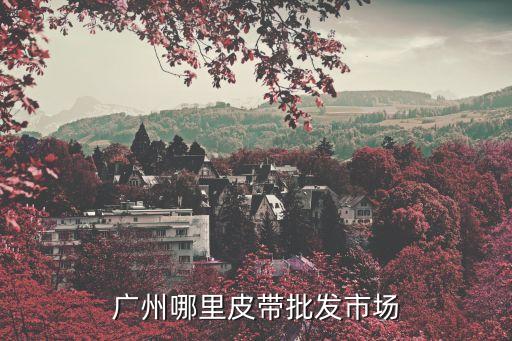 廣州哪里皮帶批發市場