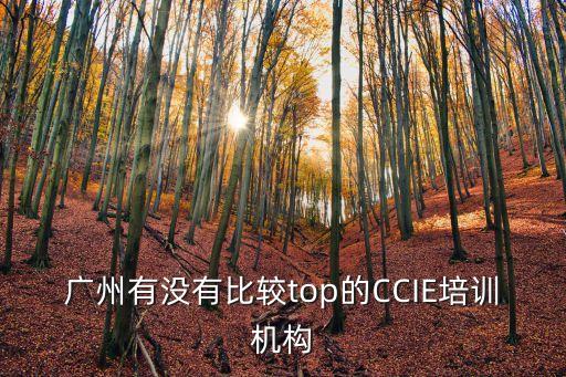 廣州有沒有比較top的CCIE培訓機構