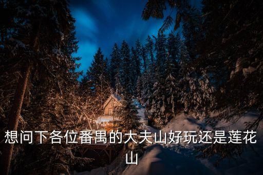想問(wèn)下各位番禺的大夫山好玩還是蓮花山