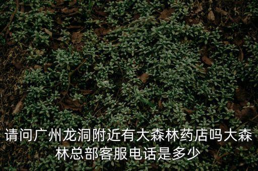 廣州大森林藥店在哪個地區(qū)，廣州文德東路最近的大森林藥店在哪里